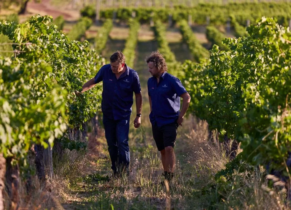 Australian Wine Regions - Western Aus - Image