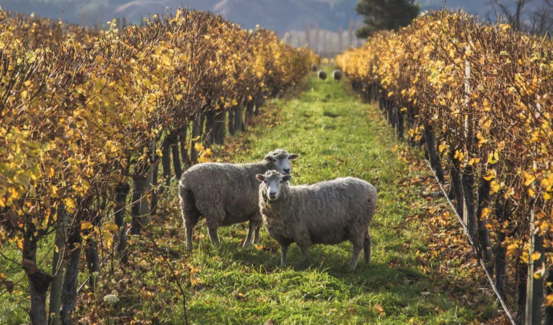 Spring edit recommendations