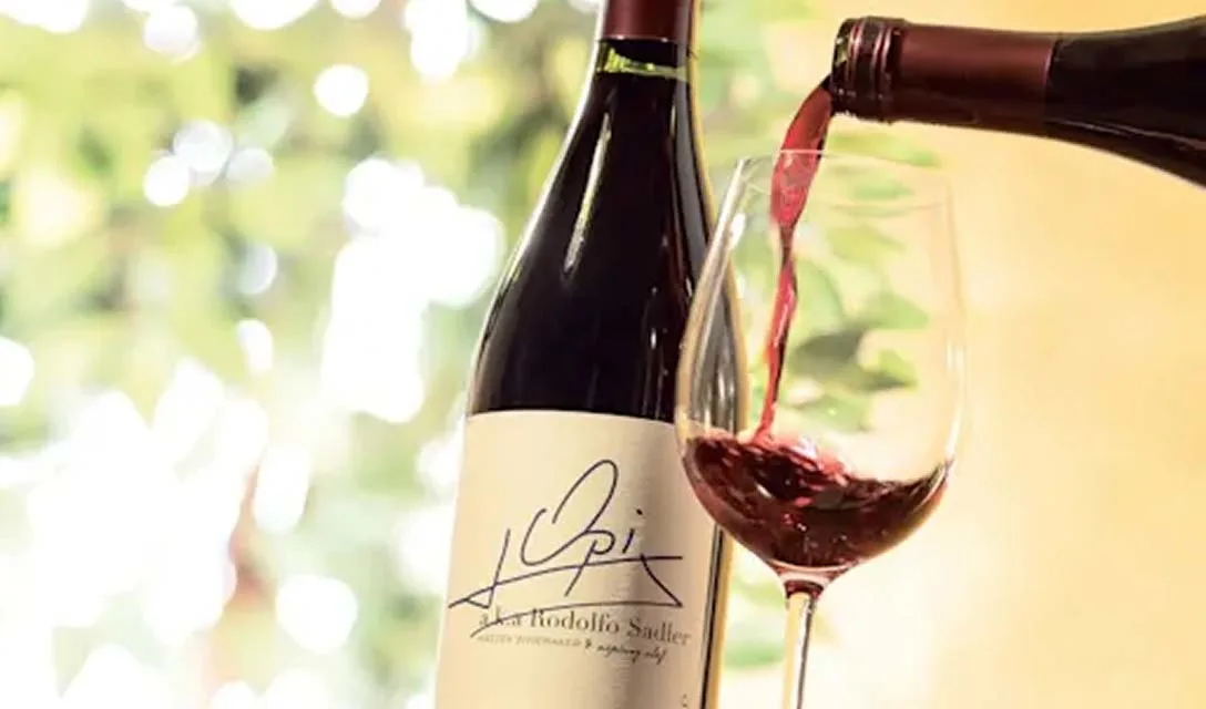 The Essential Guide to Malbec