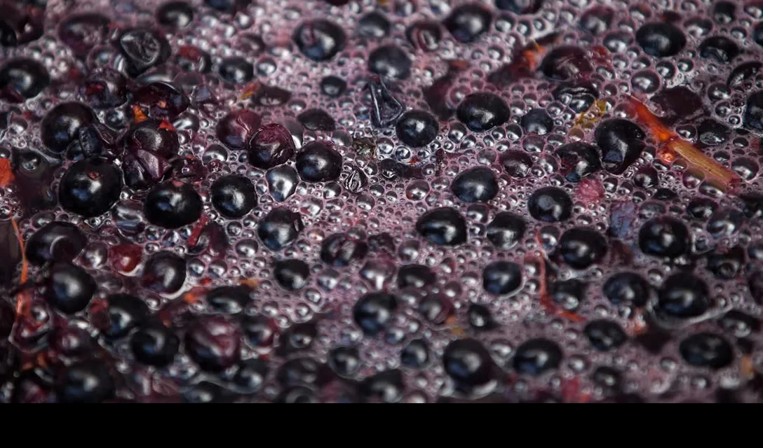 Learn homepage image - How is red wine made