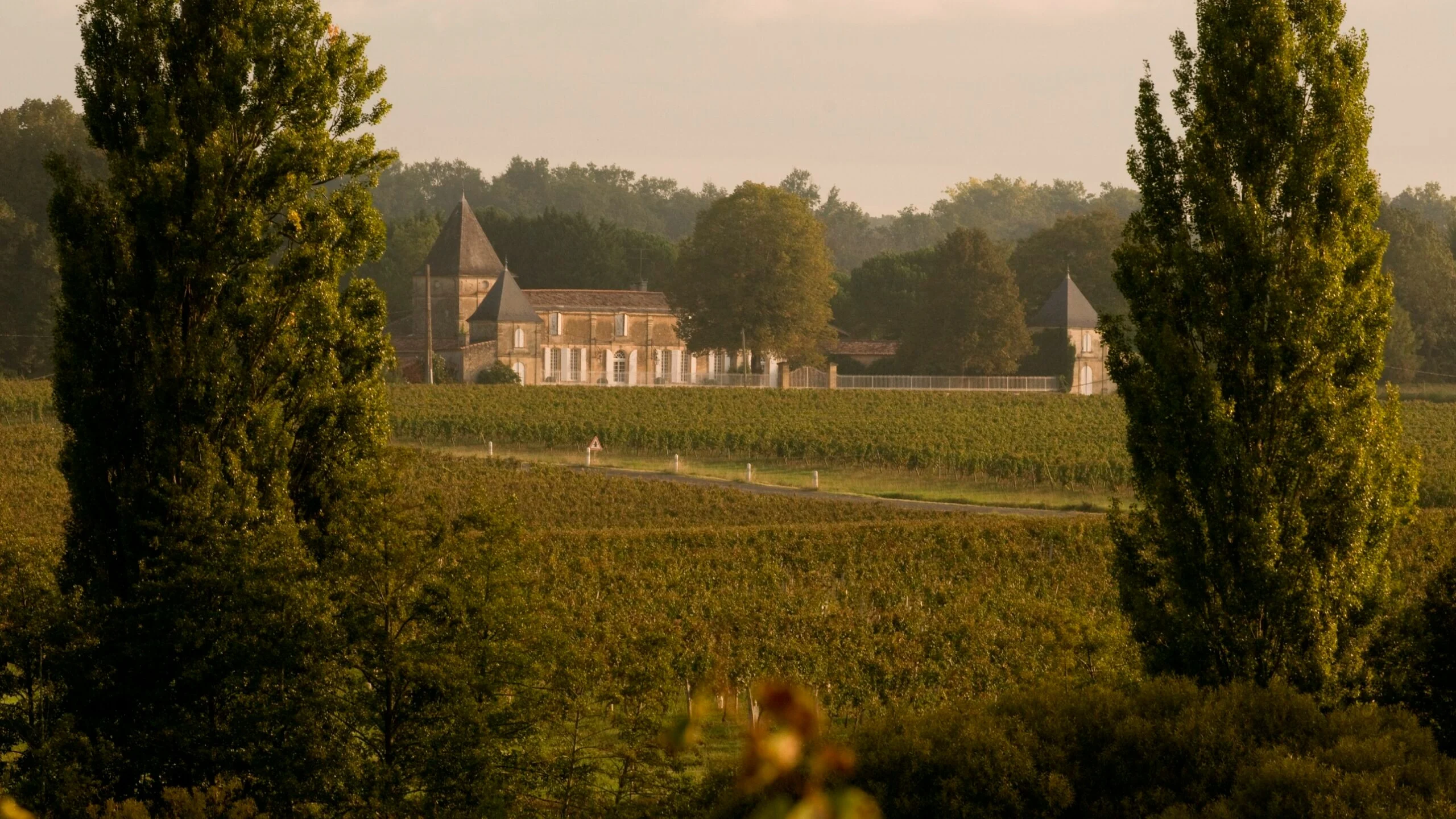 Château surrounded by vineyards and tall trees in warm evening light across the Bordeaux countryside.