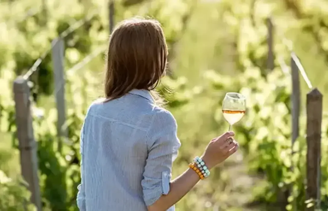 Italian white wines to discover