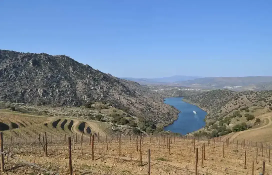 Douro Wine Region