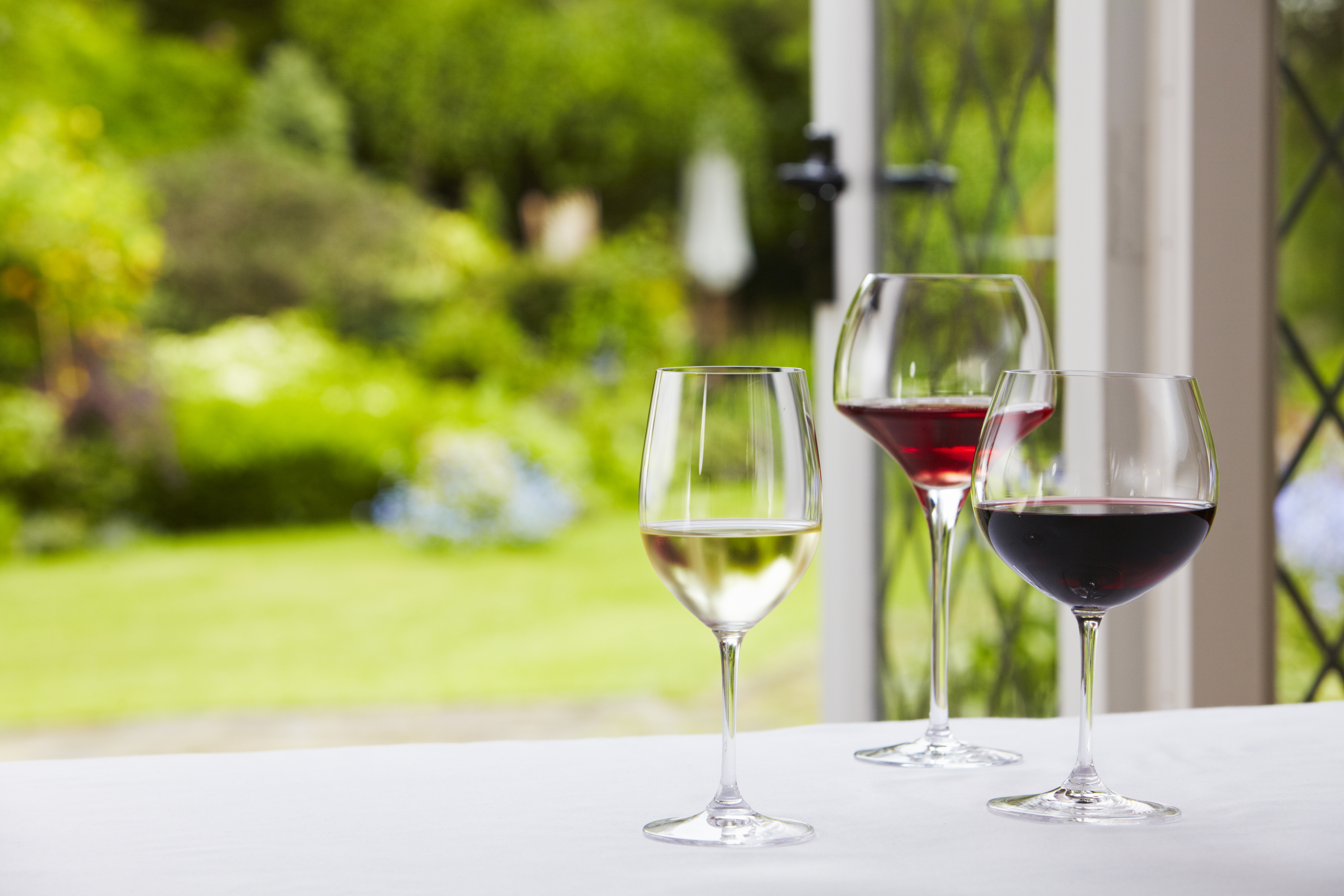 Guide to types of wine glasses  A beginner's guide