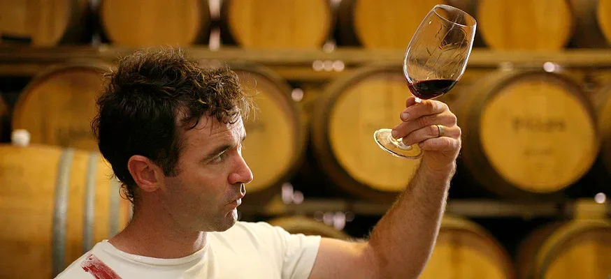 Man with nice hair in a white t-shirt eyeing an upheld glass of red wine (slightly tillted) with a wall of wooden wine barrels in the background.