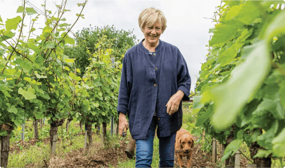 barbara laithwaite in the vineyard