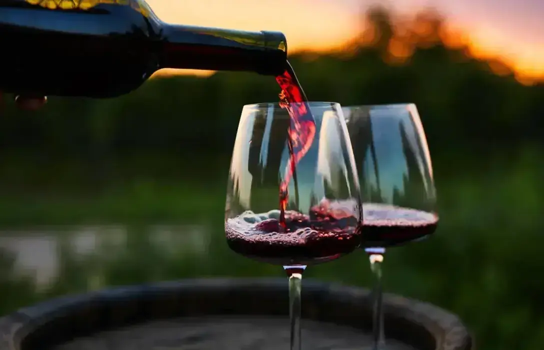 What is pinot noir