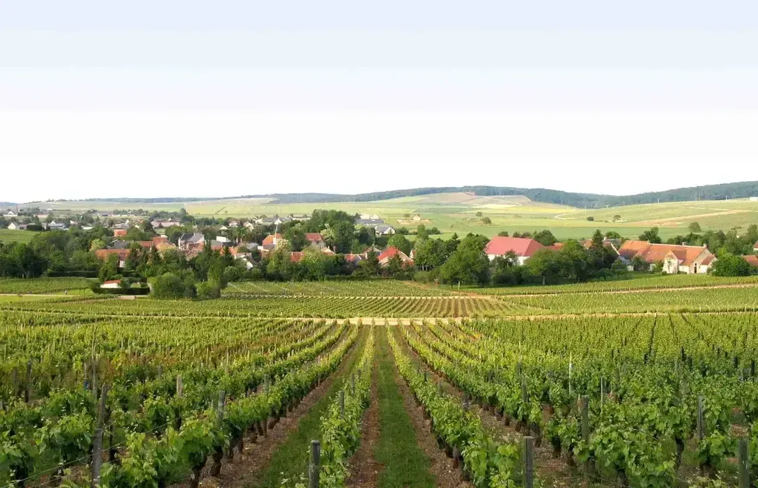 Guide to loire valley