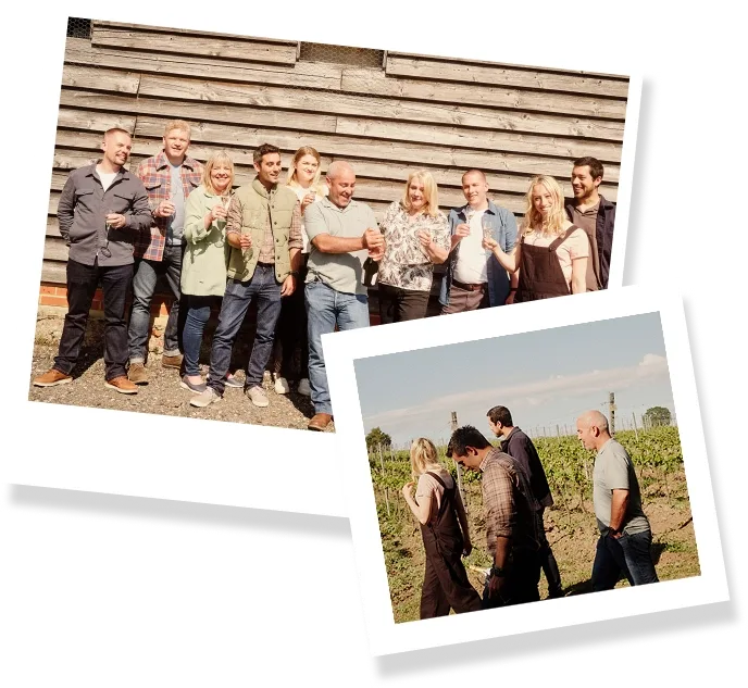 Wine Advisors - Intro section image