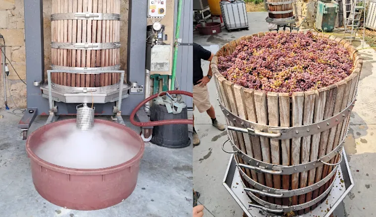 Vineyard Partners - Clariere news - section 2 image