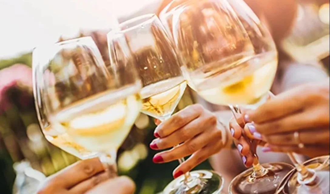 Article - Discover your wine style - Image promo