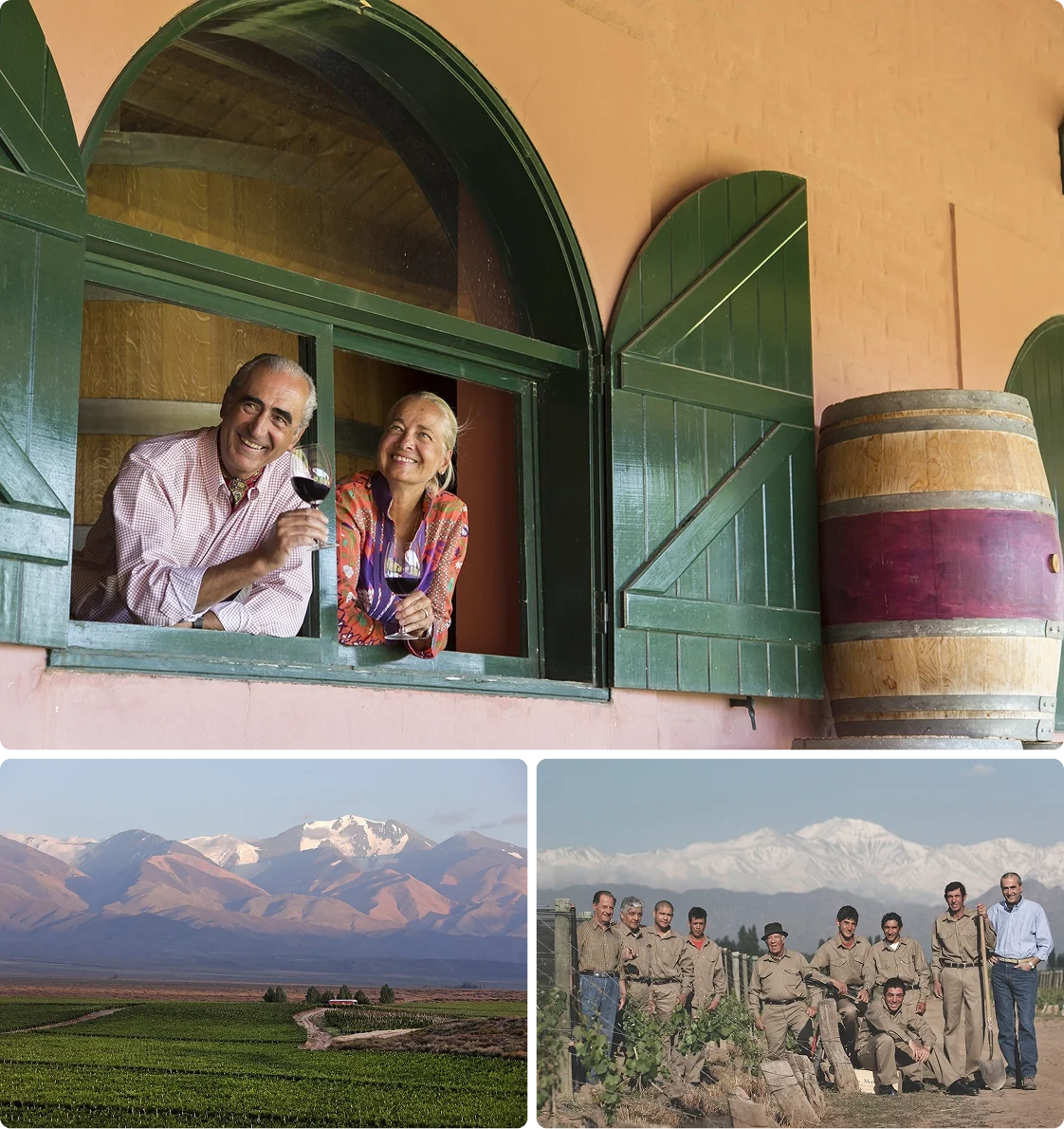 Vineyard Partners - Fabre GGG - Intro section grid image 