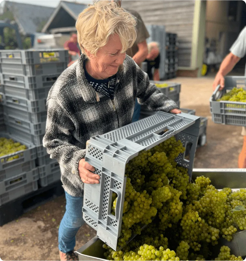 Vineyard Partners -  Wyfold - Become a partner product image 