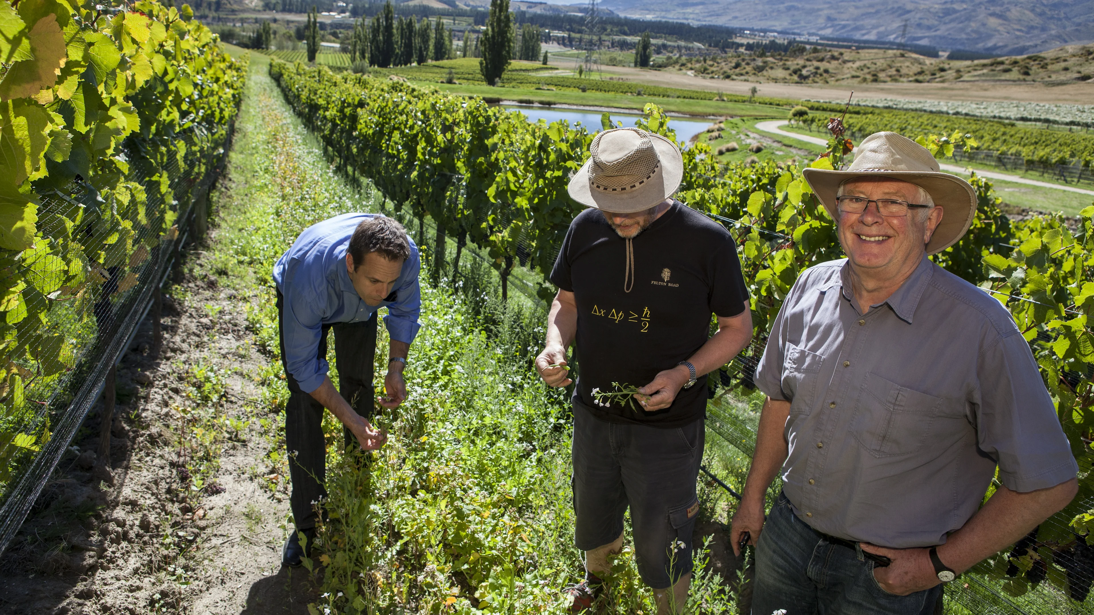 Three people examining plants between vineyard rows, with hills and mountains in the background.