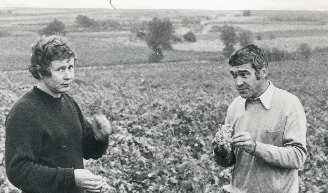 Georges' revolutionary red returns - Article