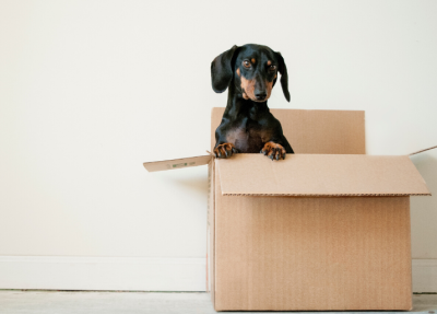 The ultimate moving house checklist - Main