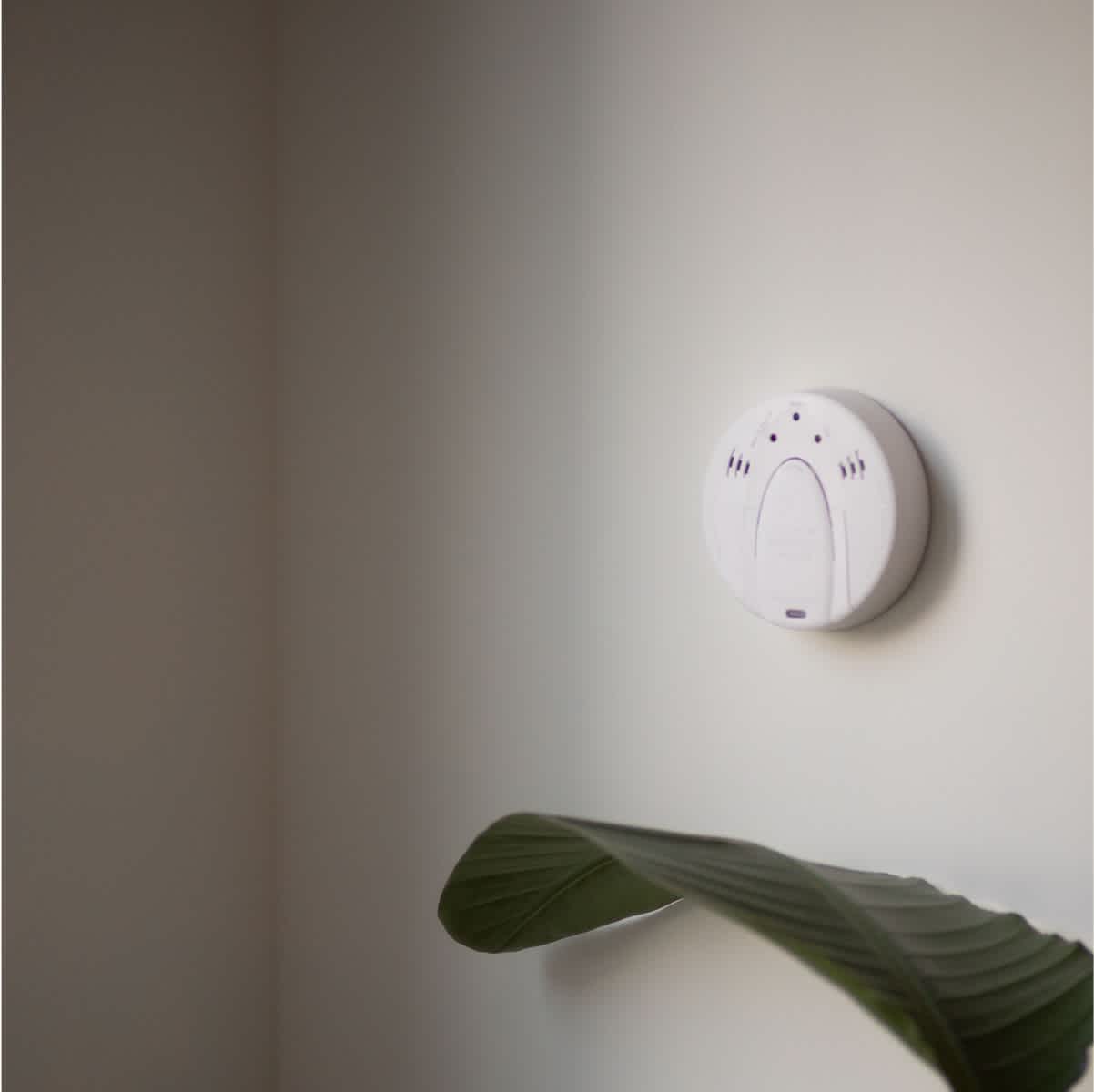 Carbon monoxide detector feature