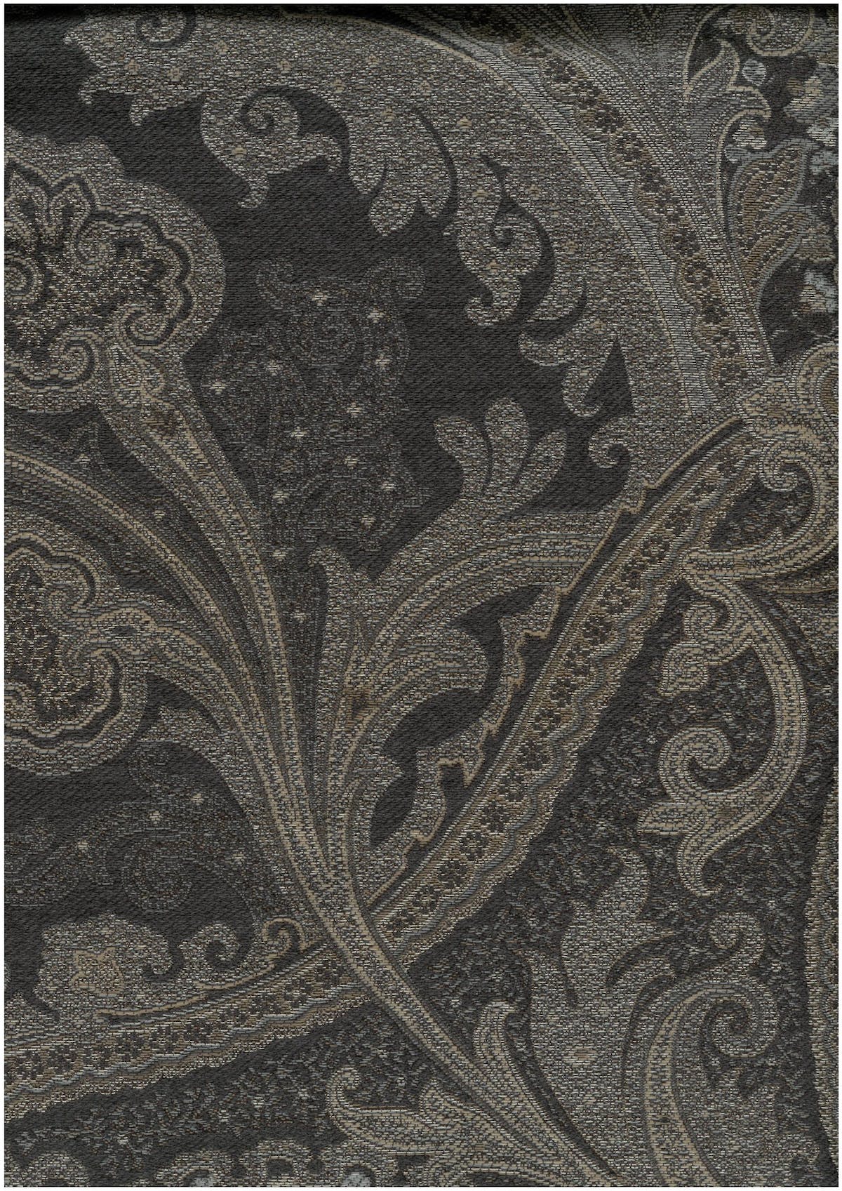 Etro | Search