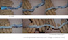 Here you can see the how the cord goes from coiled and full of blood at birth to limp and empty 15 minutes after birth.