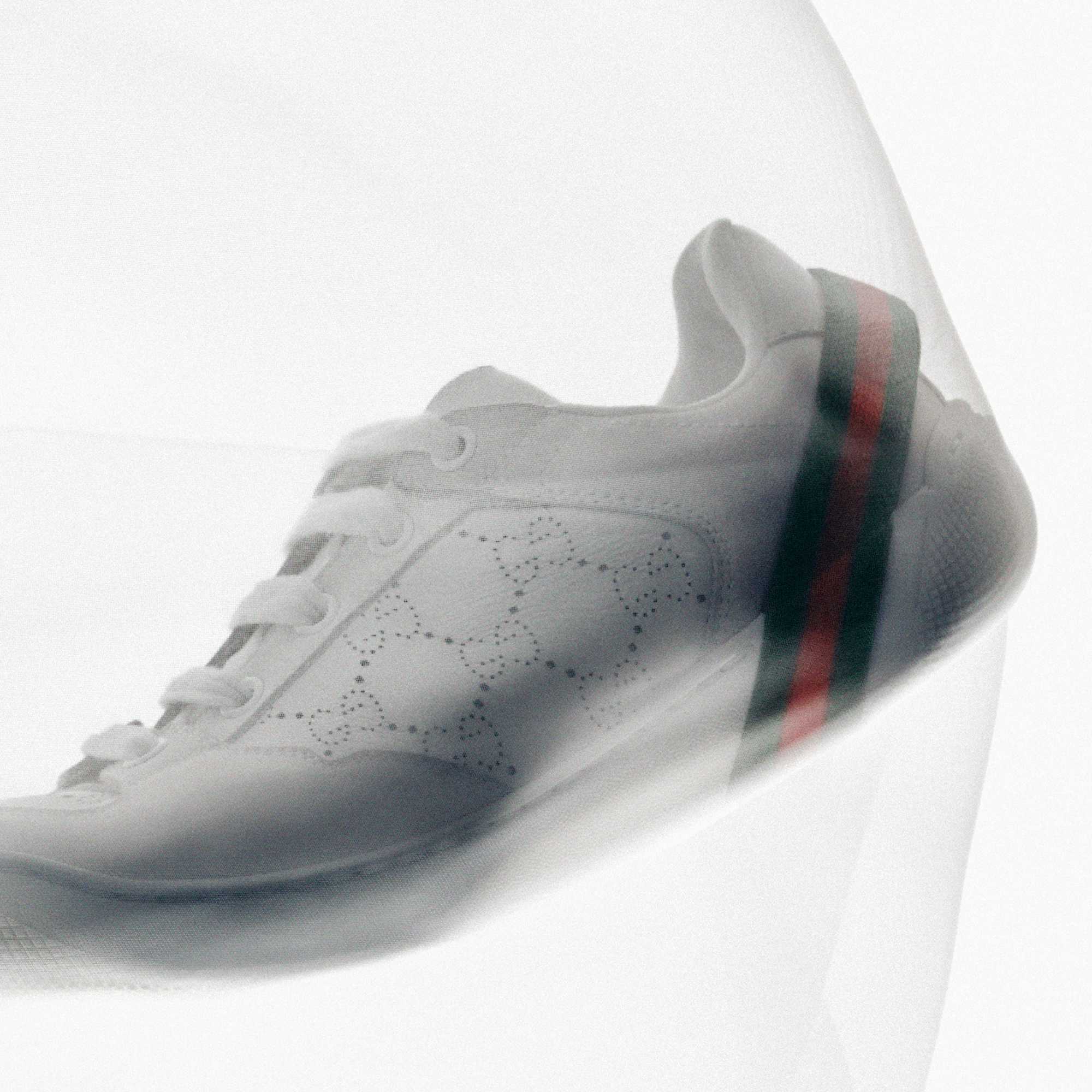 White Gucci sneaker green red stripe