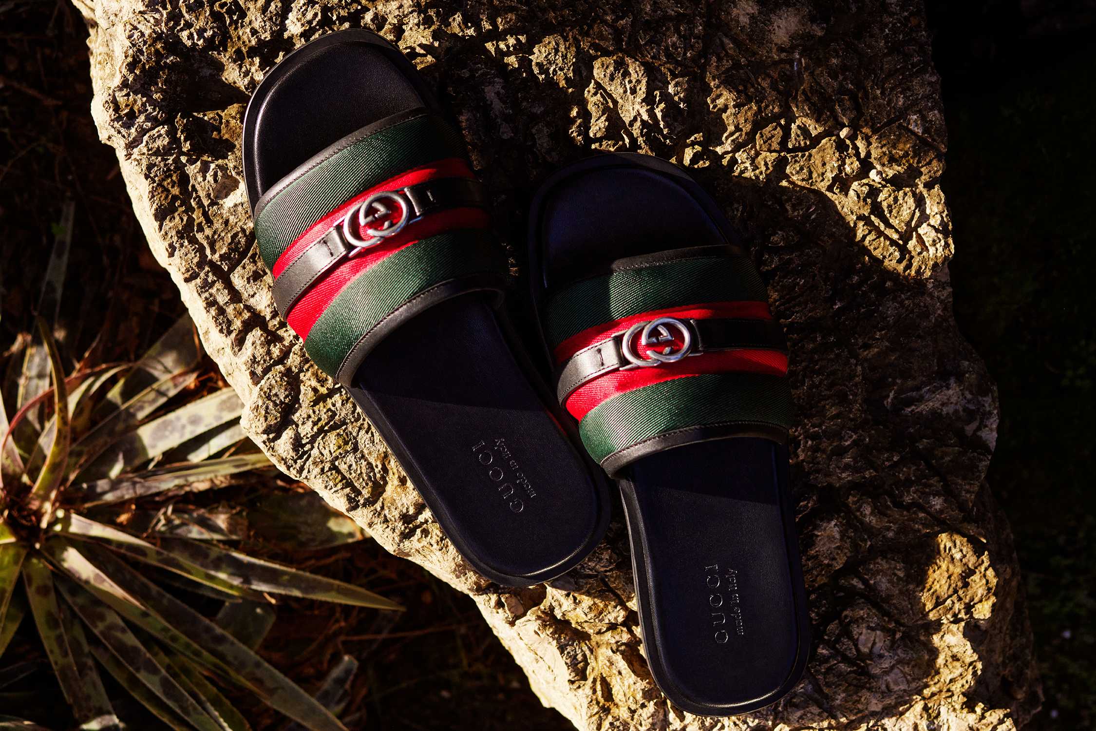 Gucci green-red-black slides on rock