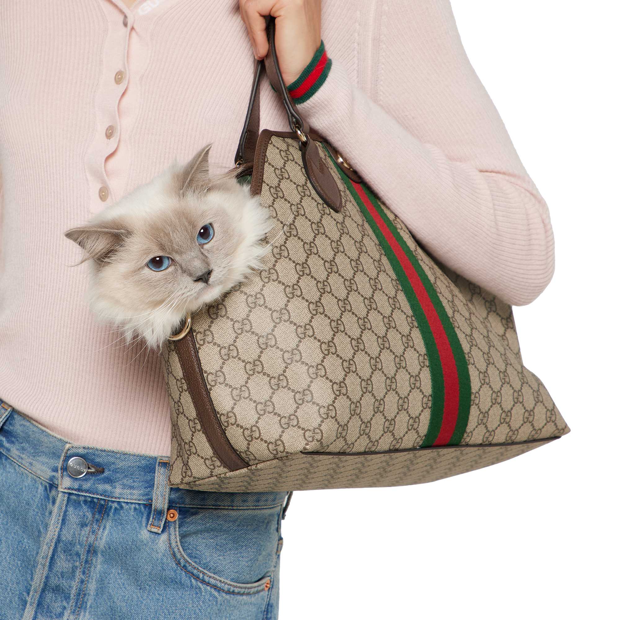 GG Monogram pet tote