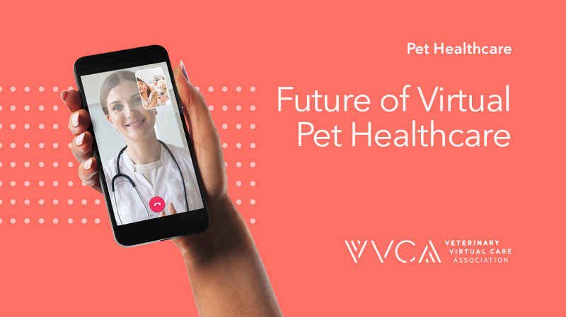 Future of Virtual Pet Healthcare