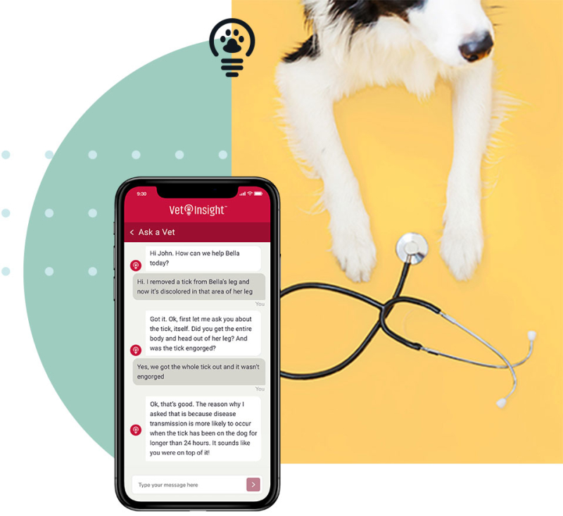 Dog with statoscope and VetInsight smartphone app.