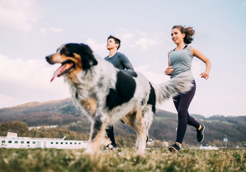 Couple running with dog on outdoor trail.
