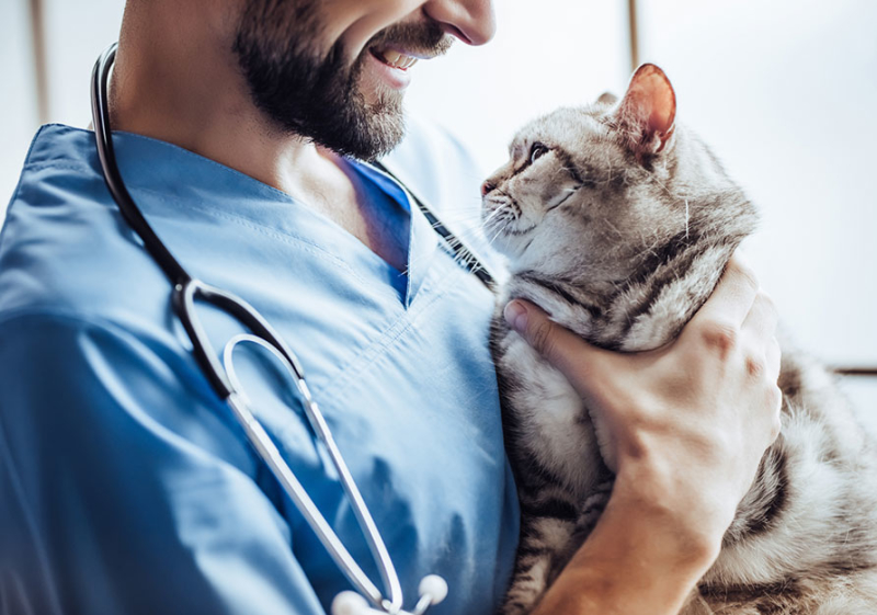 A vet smiling at a cat on his arm