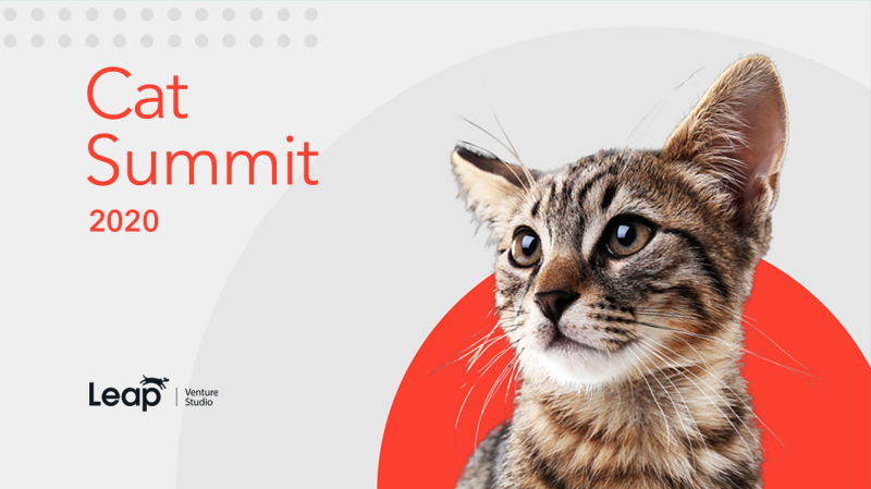 Cat Summit 2020
