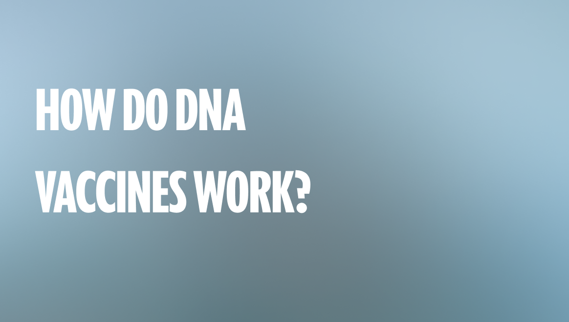 How do DNA Vaccines work?