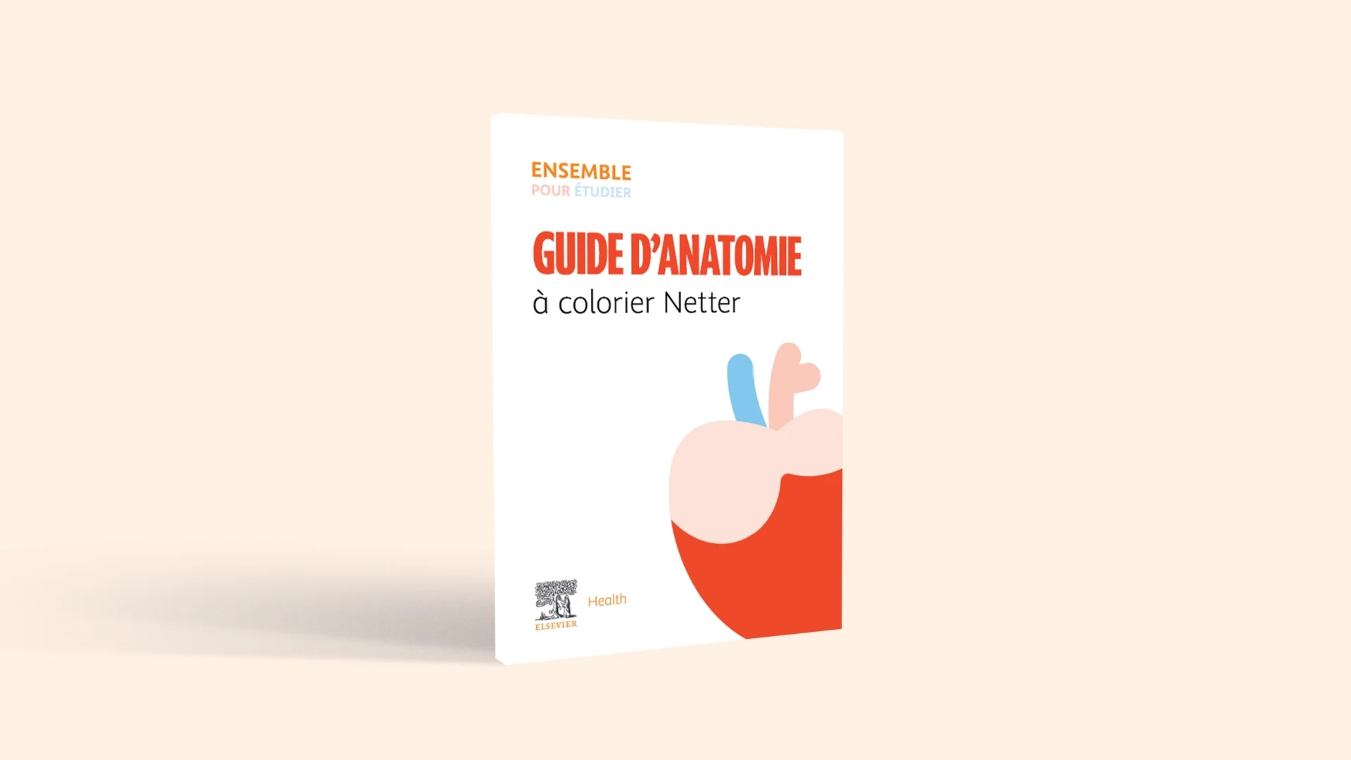 Image for Guide Anatomie à colorier 3D