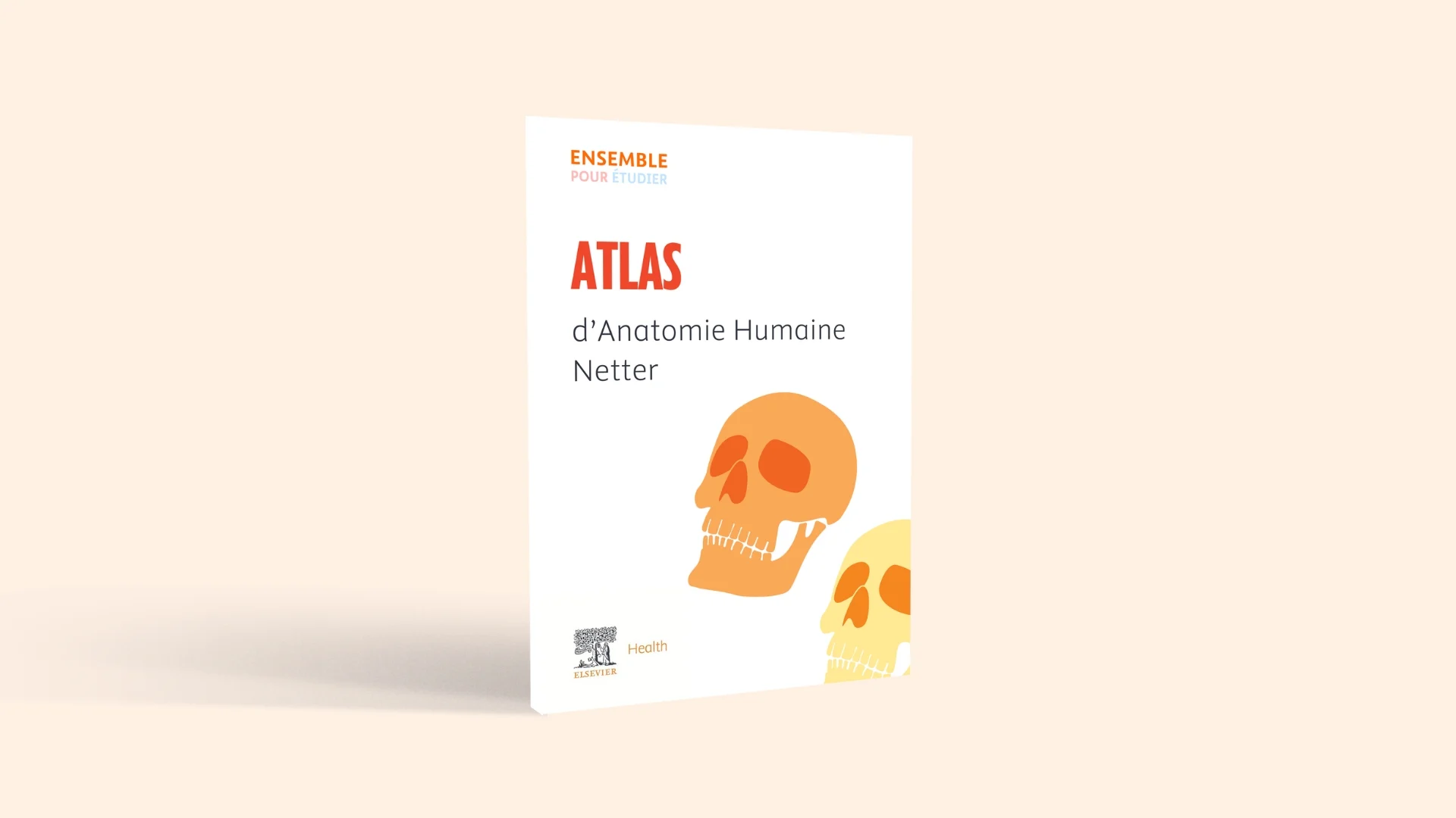 Image for Guide Atlas anat Netter