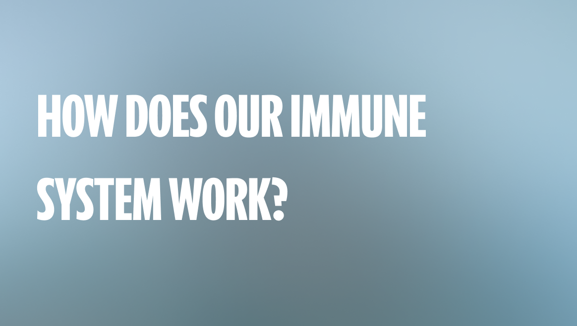 How does our Immune System work?