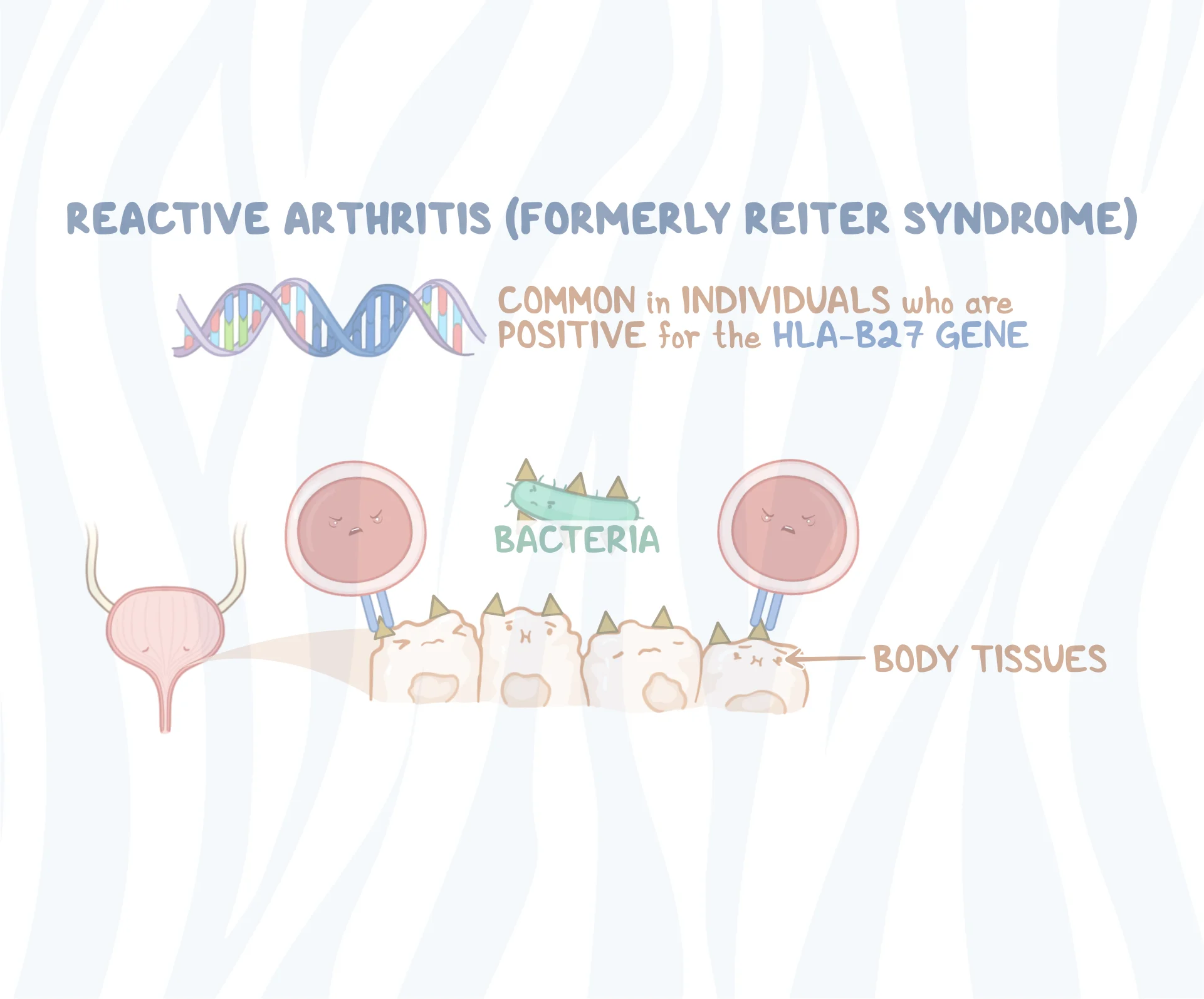 zebra_Reiter syndrome video banner image