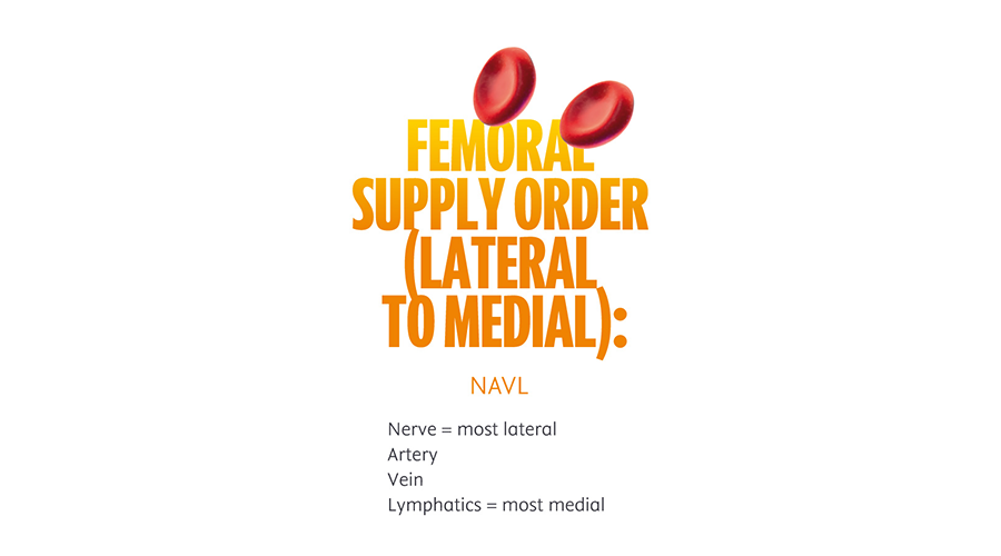 Femoral Supply Order