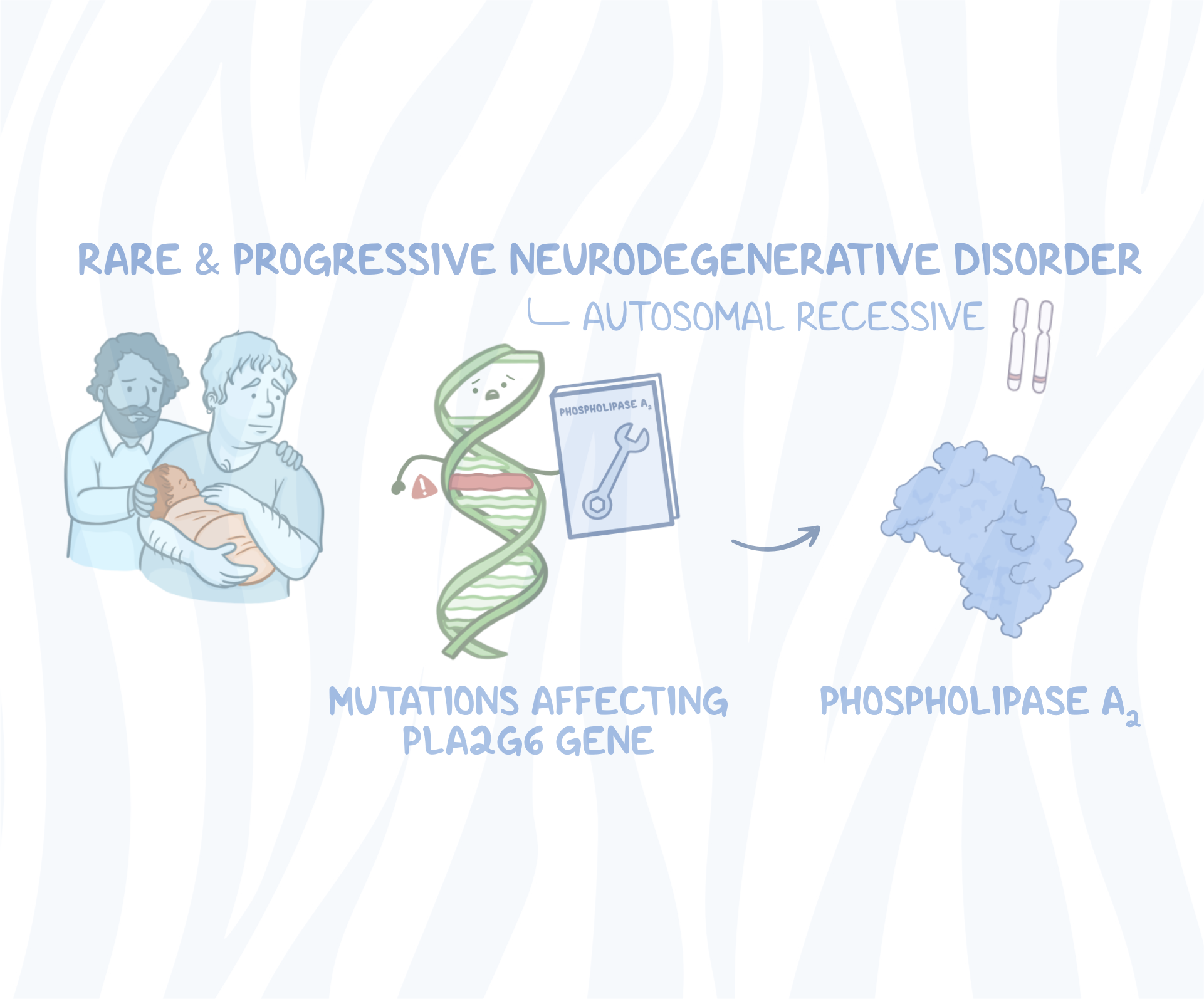 zebra_Infantile Neuroaxonal Dystrophy video banner image