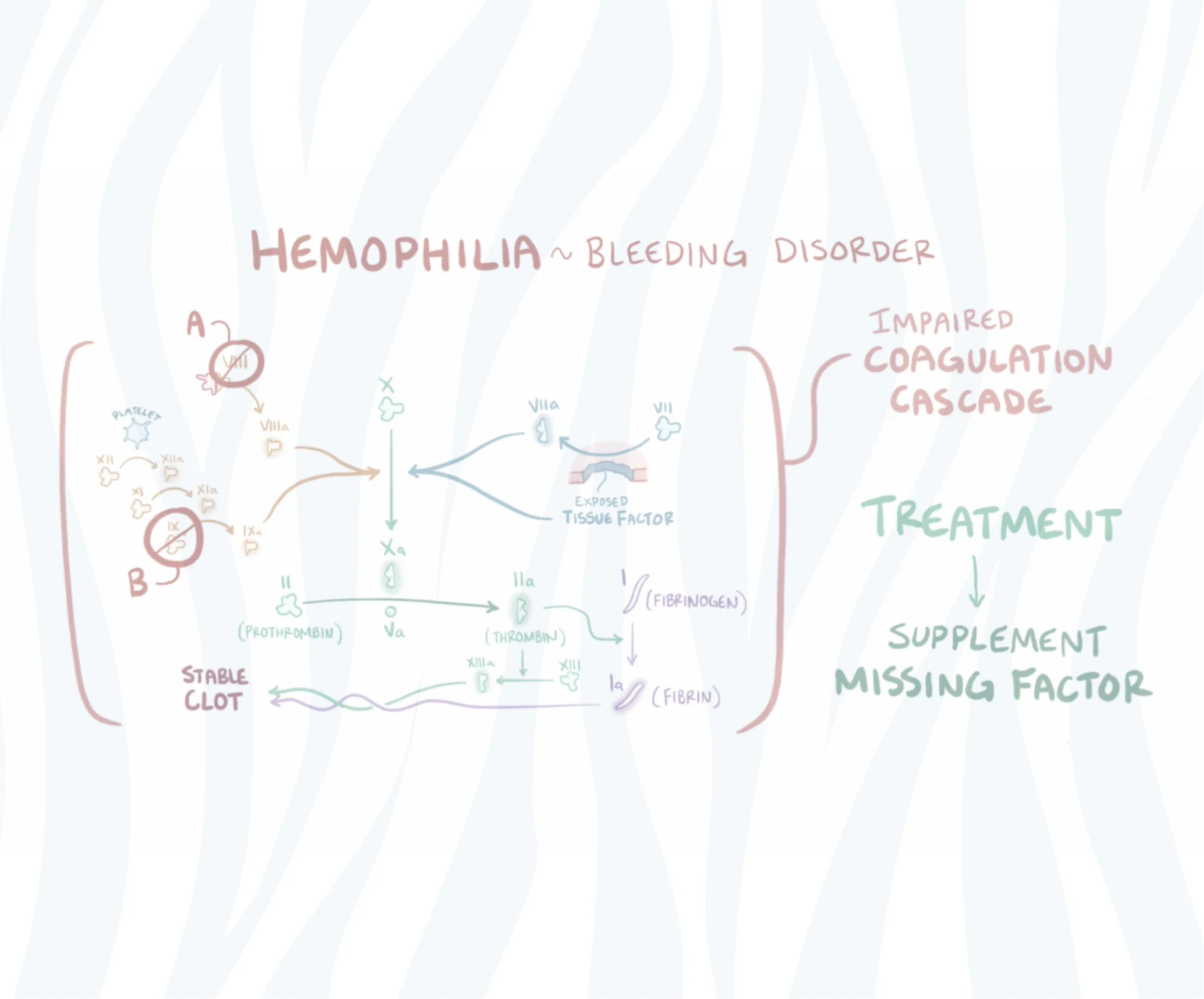 zebra_Hemophilia banner image