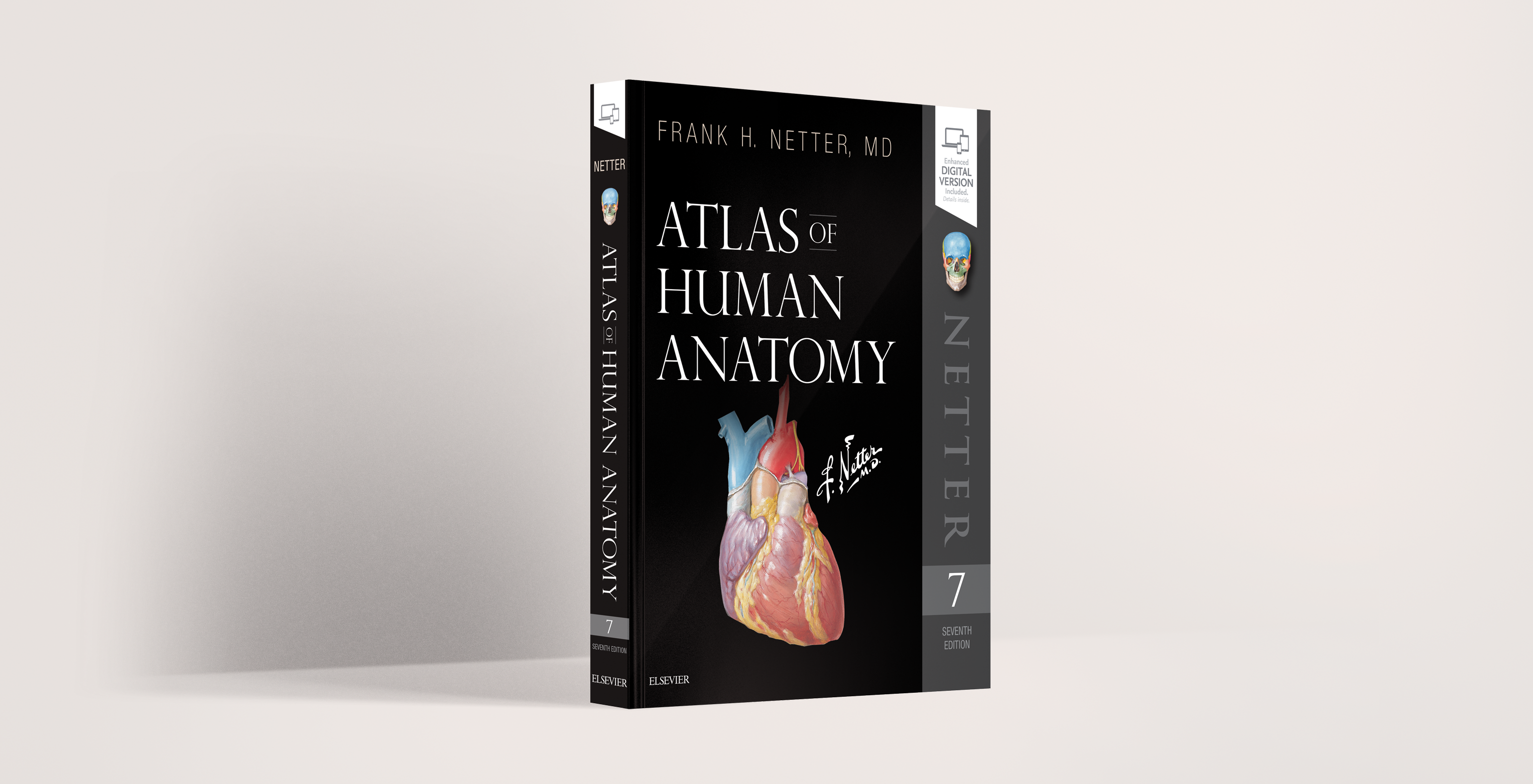 netters human anatomy atlas