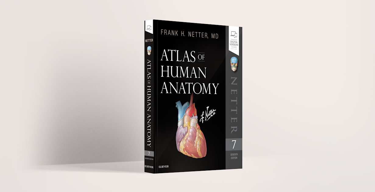 【最安値】機能解剖マニュアルATLAS OF HUMAN ANATOMY DVD Acland's 6 DVD Atlas of the Human Anatomy Upper/Lower
