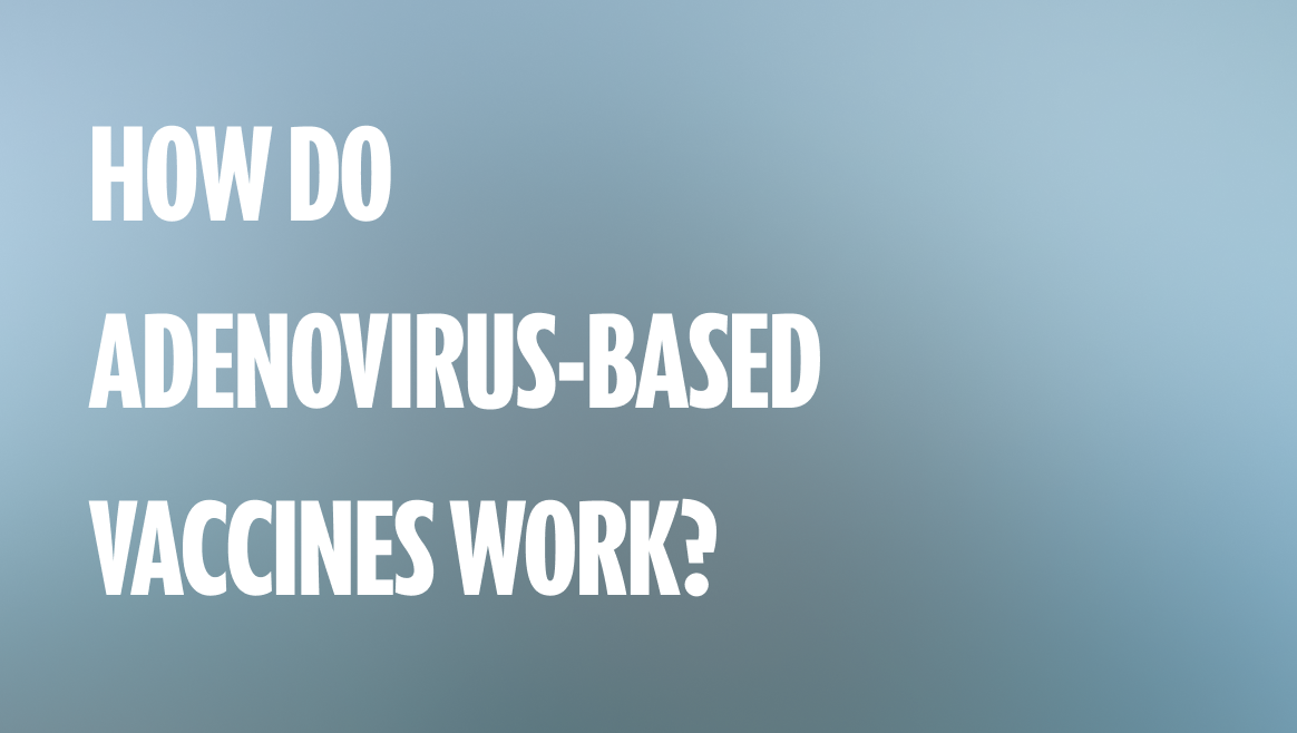 How do Adenovirus-Based Vaccines work?