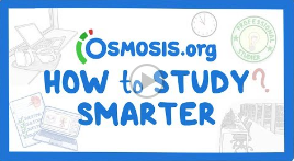 Clinician's Corner: Tips on how to study smarter - YouTube Osmosis.org