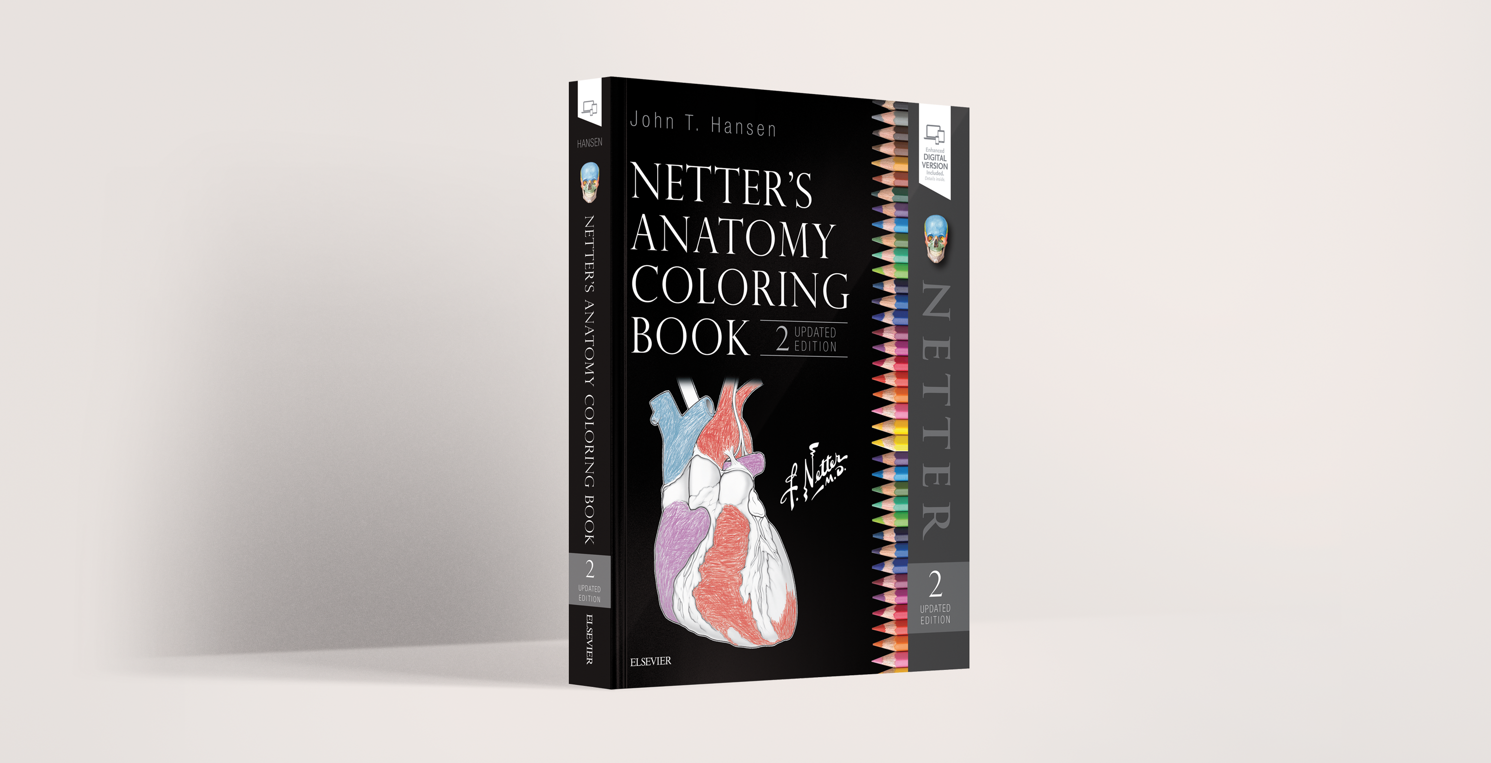 Netter's Anatomy Coloring Book Updated Edition