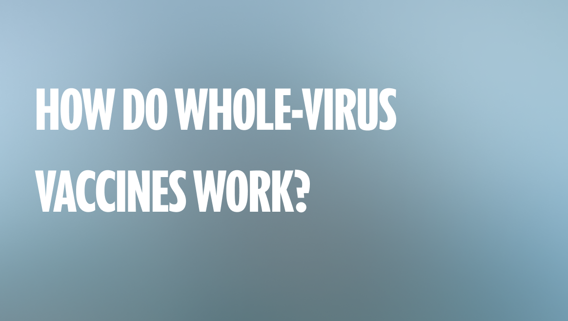 How do Whole-Virus Vaccines work?