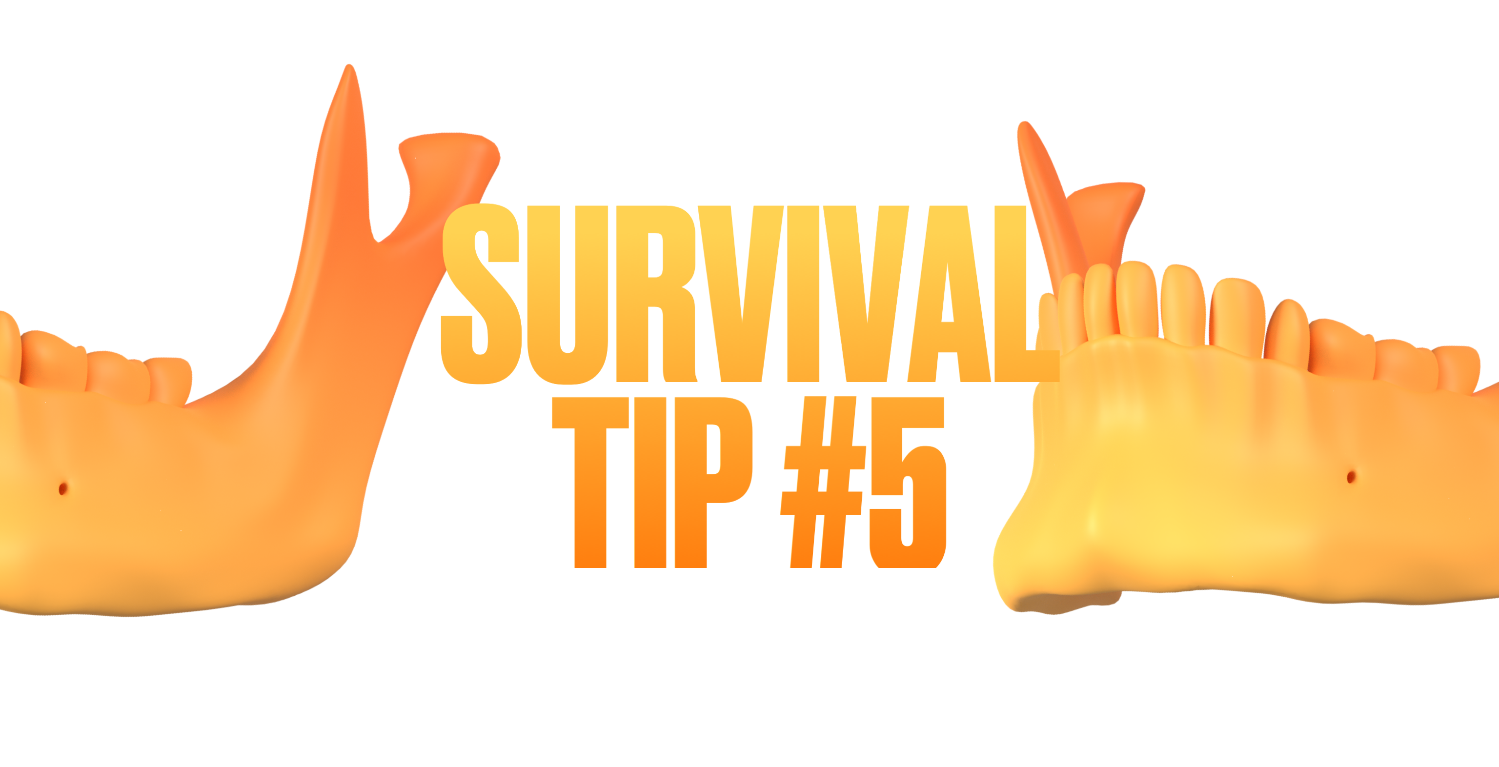 SURVIVAL TIP - Tip 5