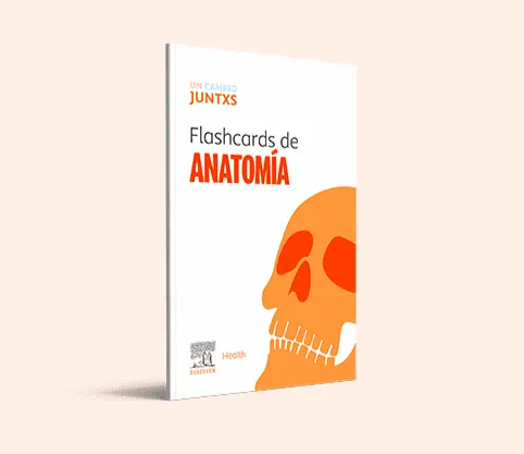 Banner-Flashcards-Anatomia-JUNTXS-2024-482x700