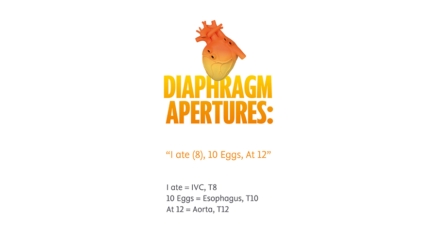 Diaphragm Apertures