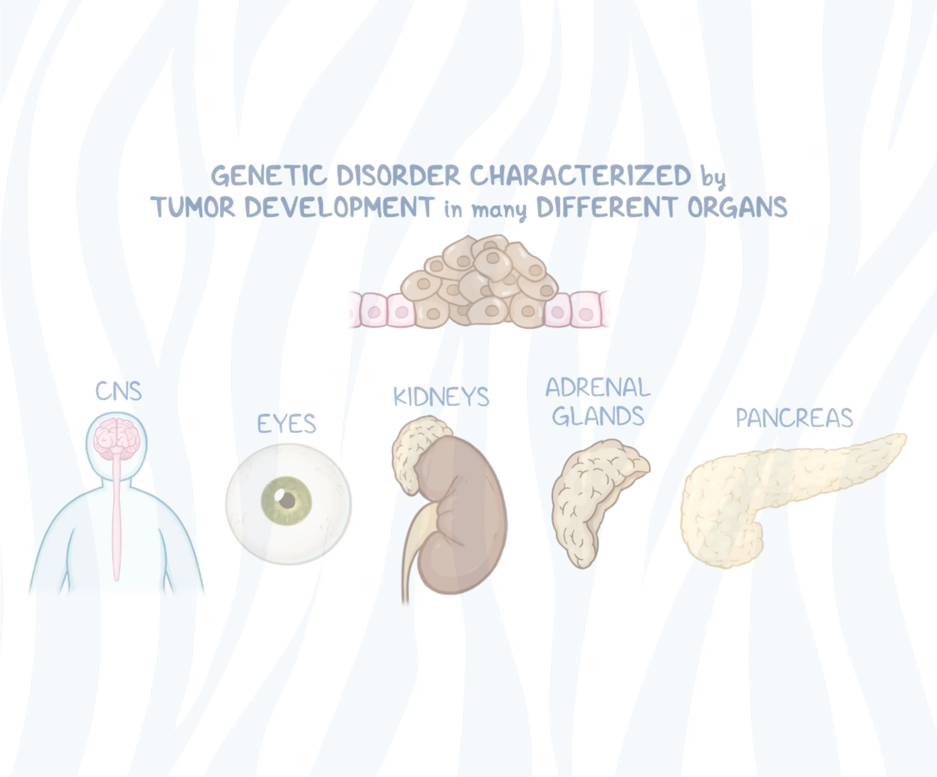 zebra_Von Hippel–Lindau Disease Video poster image