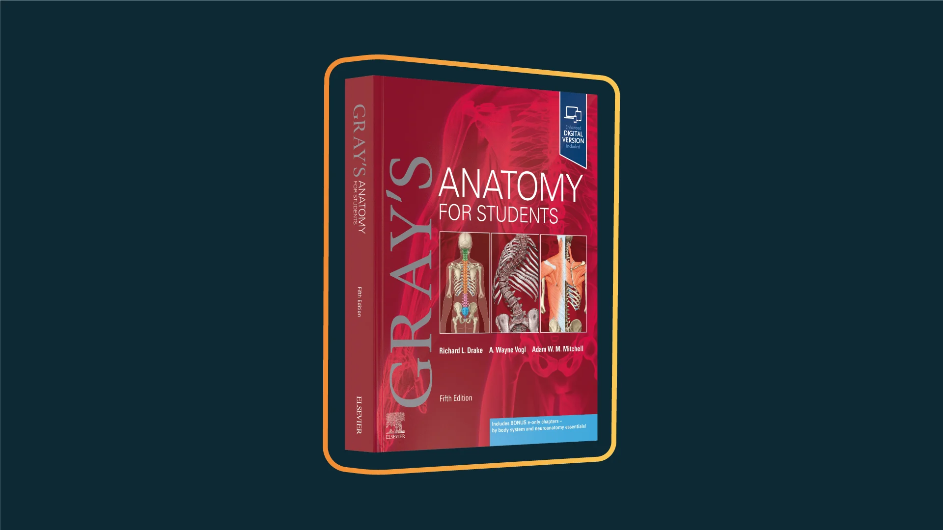 Anatomy 9780323934237